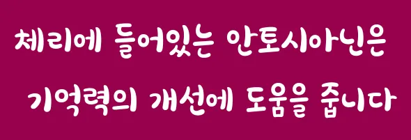 체리에 들어있는 안토시아닌은 기억력의 개선에 도움을 줍니다