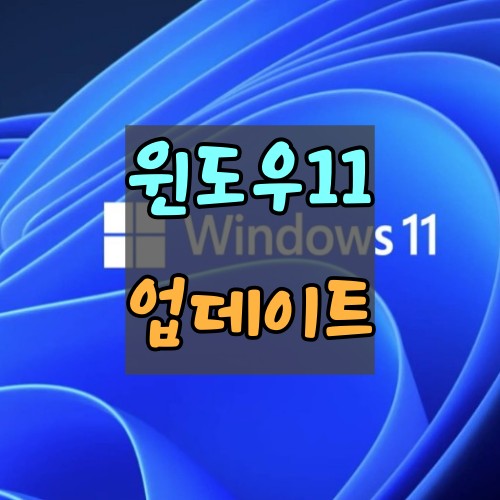 윈도우11-업데이트