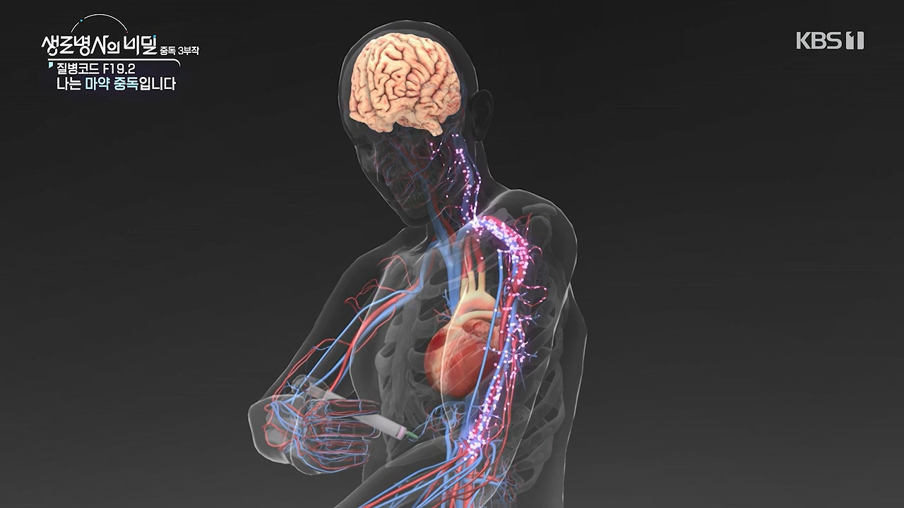 생로병사의 비밀.E917.240627p-NEXT.mp4_20240627_205321.005.jpg