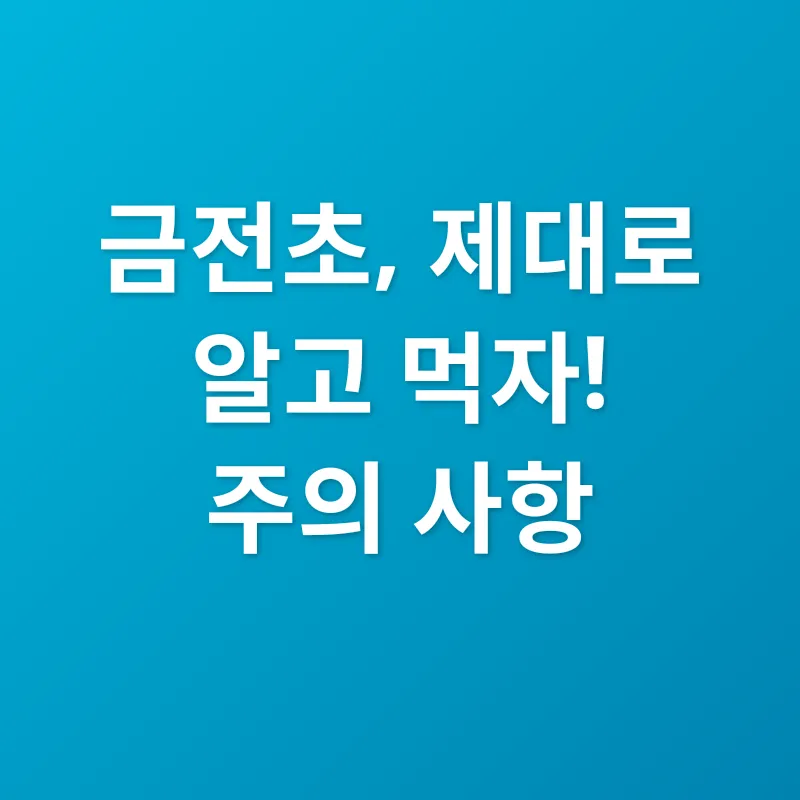 금전초 효능_3