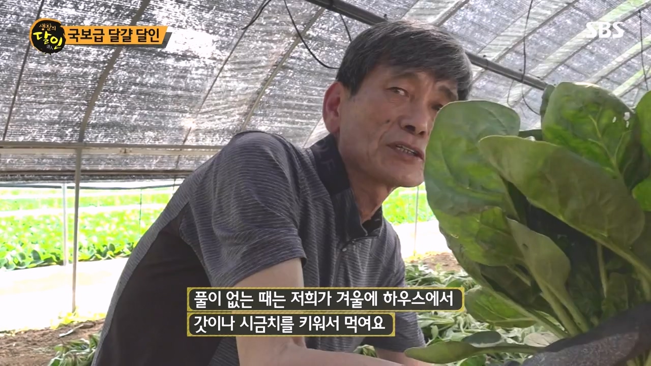 생활의 달인.E934.240507p-NEXT.mp4_20240507_195942.896.jpg