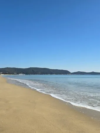 완도 가볼만한곳 베스트10 필수 관광명소 추천_19