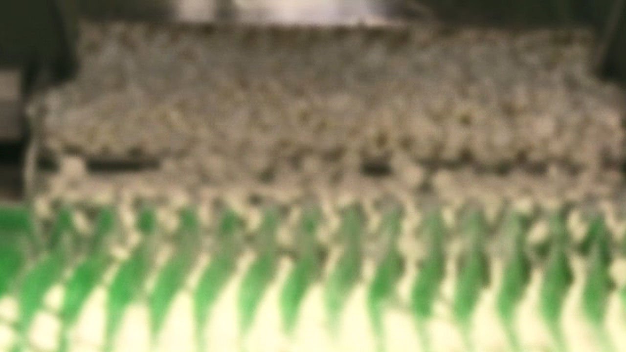  '자료 조작' 한올바이오파마 6개 의약품 허가 취소