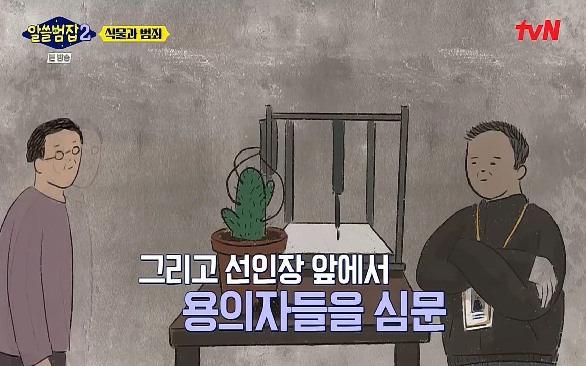알쓸범잡 2.E15.220425p-NEXT.mp4_20220425_174841.043.jpg