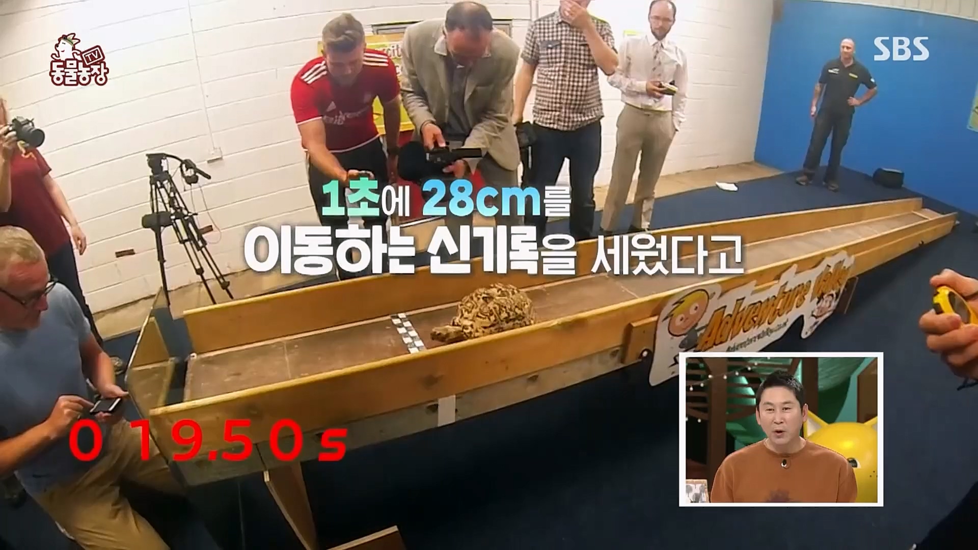 TV 동물농장.E1103.230108p.H264-F1RST.mp4_20230108_174630.291.jpg