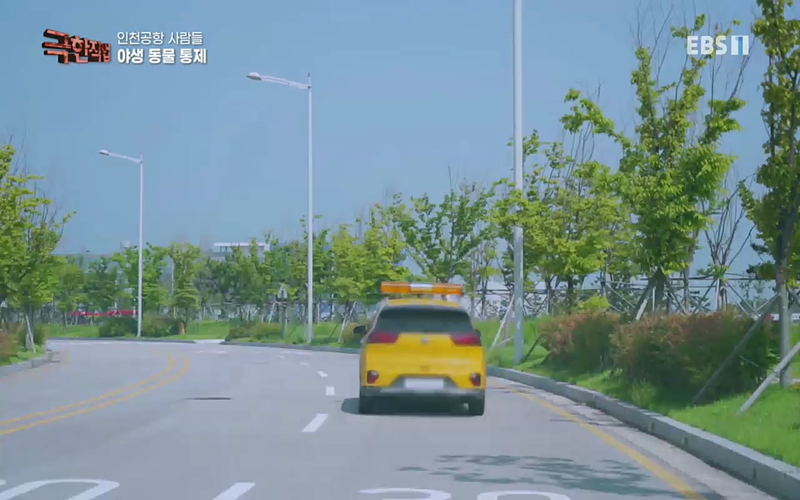 TV - 교육의 중심 EBS인천공항 사람들.mp4_20220828_173058.370.jpg