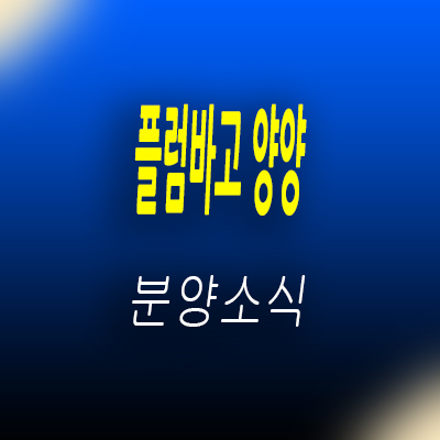  플럼바고 양양 생활형숙박시설 강원도 낙산해변 레지던스,호텔 세컨하우스 분양가 및 모델하우스 위치 안내
