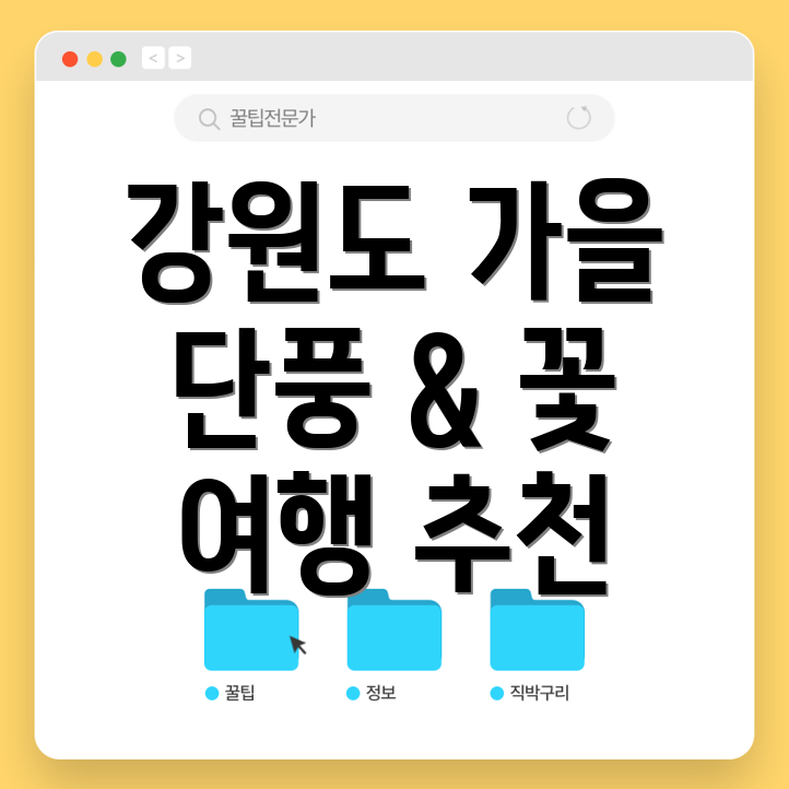 강원도 가을 여행