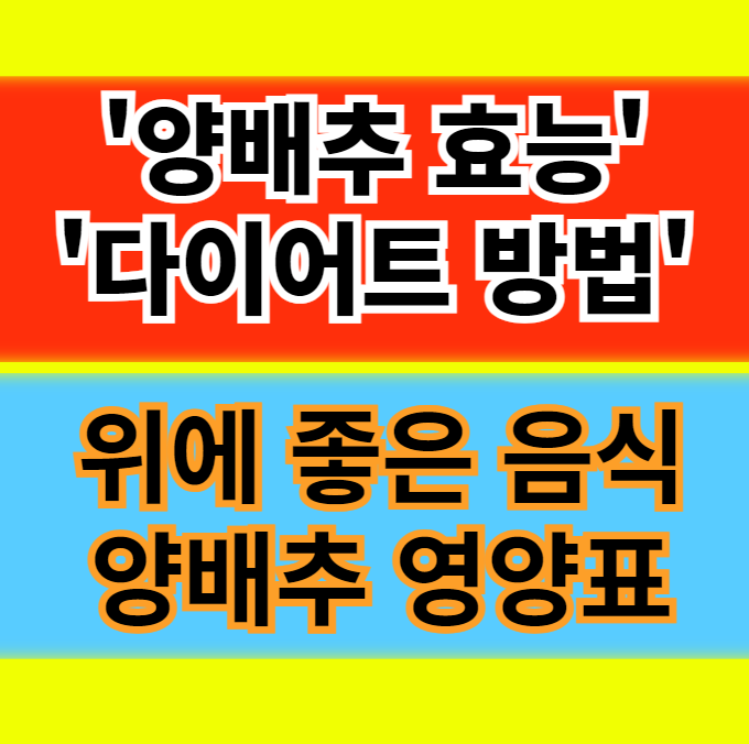  양배추 효능 부작용 양배추환 분말 삶은 양배추 영양 성분 레시피 정보