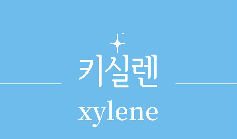 '키실렌(xylene)'