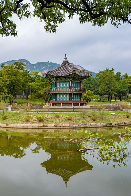 탐라 복속 과정과 삼국의 외교 정책 비교하기
