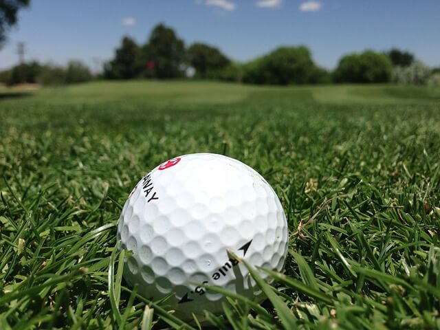 LPGA 미즈호 아메리카 오픈