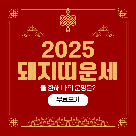 돼지띠 2025년 운세 – 나이별 운세 총정리