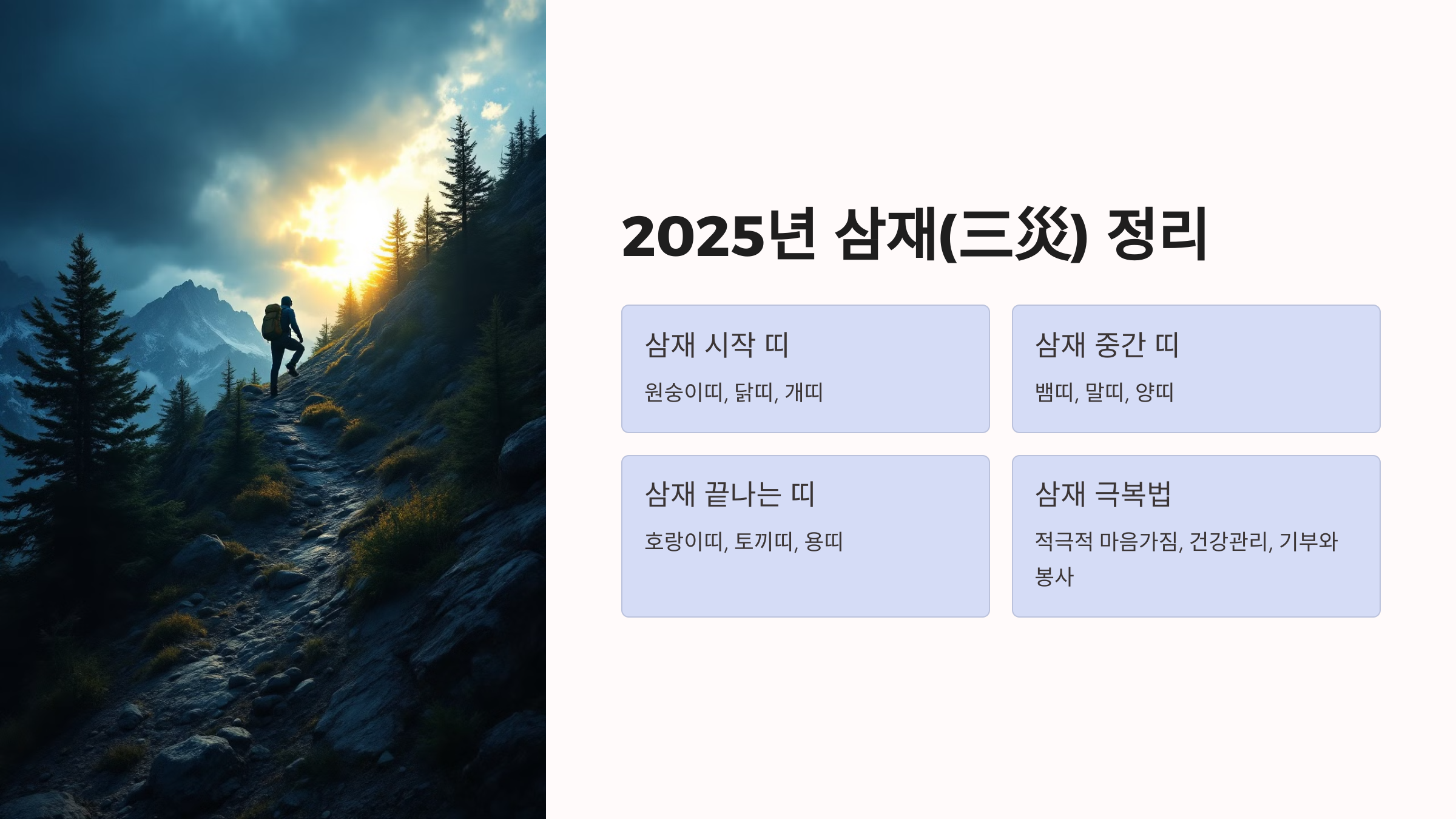 2025년 을사년