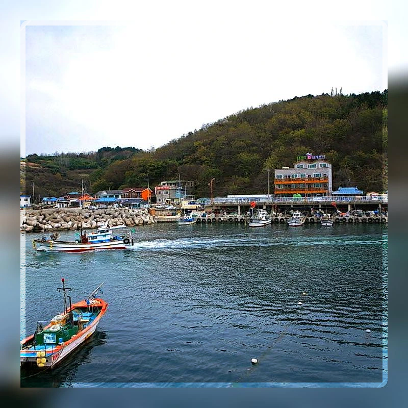 대게 펜션 (Daegae Pension)_1