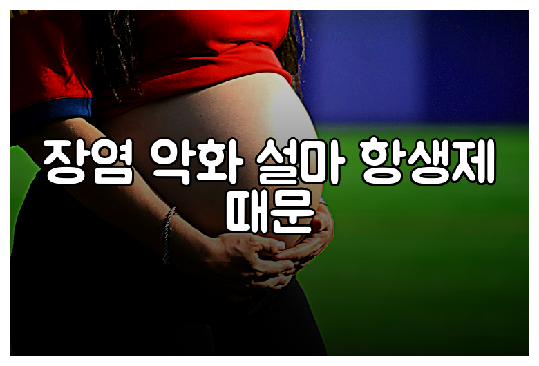장염 악화 설마 항생제 때문