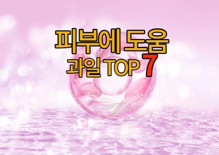 피부에 도움되는 과일 (표지)