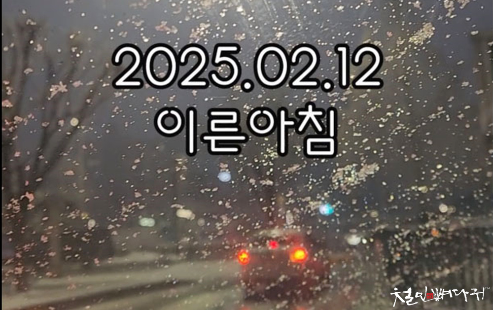 이른아침 이미지