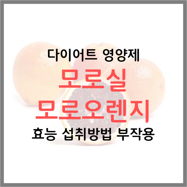  모로실(Morosil) 효능 섭취방법 섭취량 부작용 다이어트 영양제