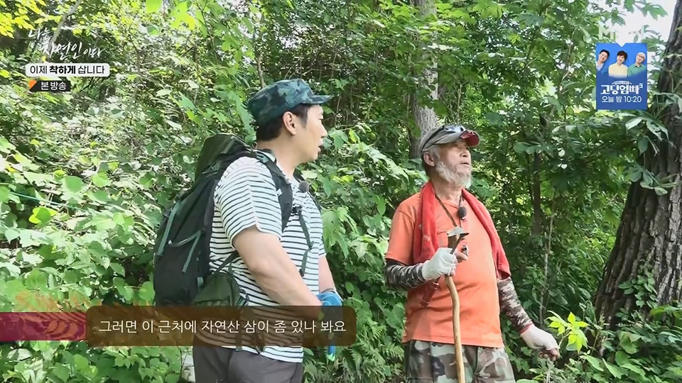 나는 자연인이다.E560.230628p.H264-F1RST.mp4_20230701_182652.252.jpg