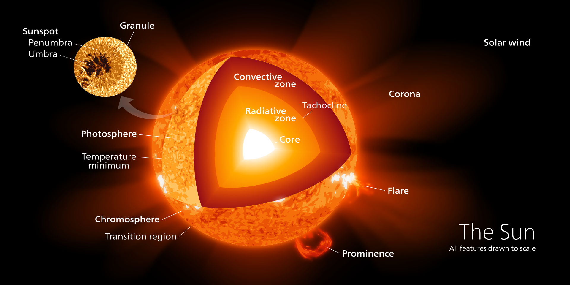 출처 : wiki 백과(https://en.wikipedia.org/wiki/Stellar_structure#/media/File:Sun_poster.svg)