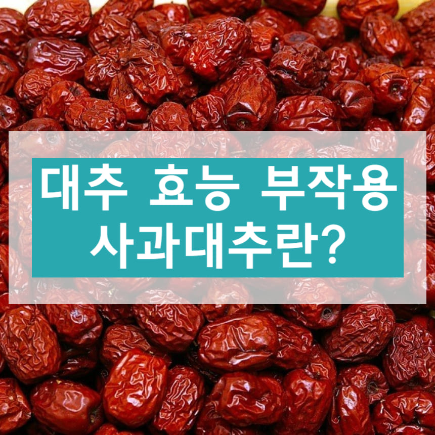 대추 효능 부작용 사과대추란?