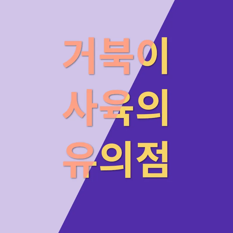 거북이 사육_2
