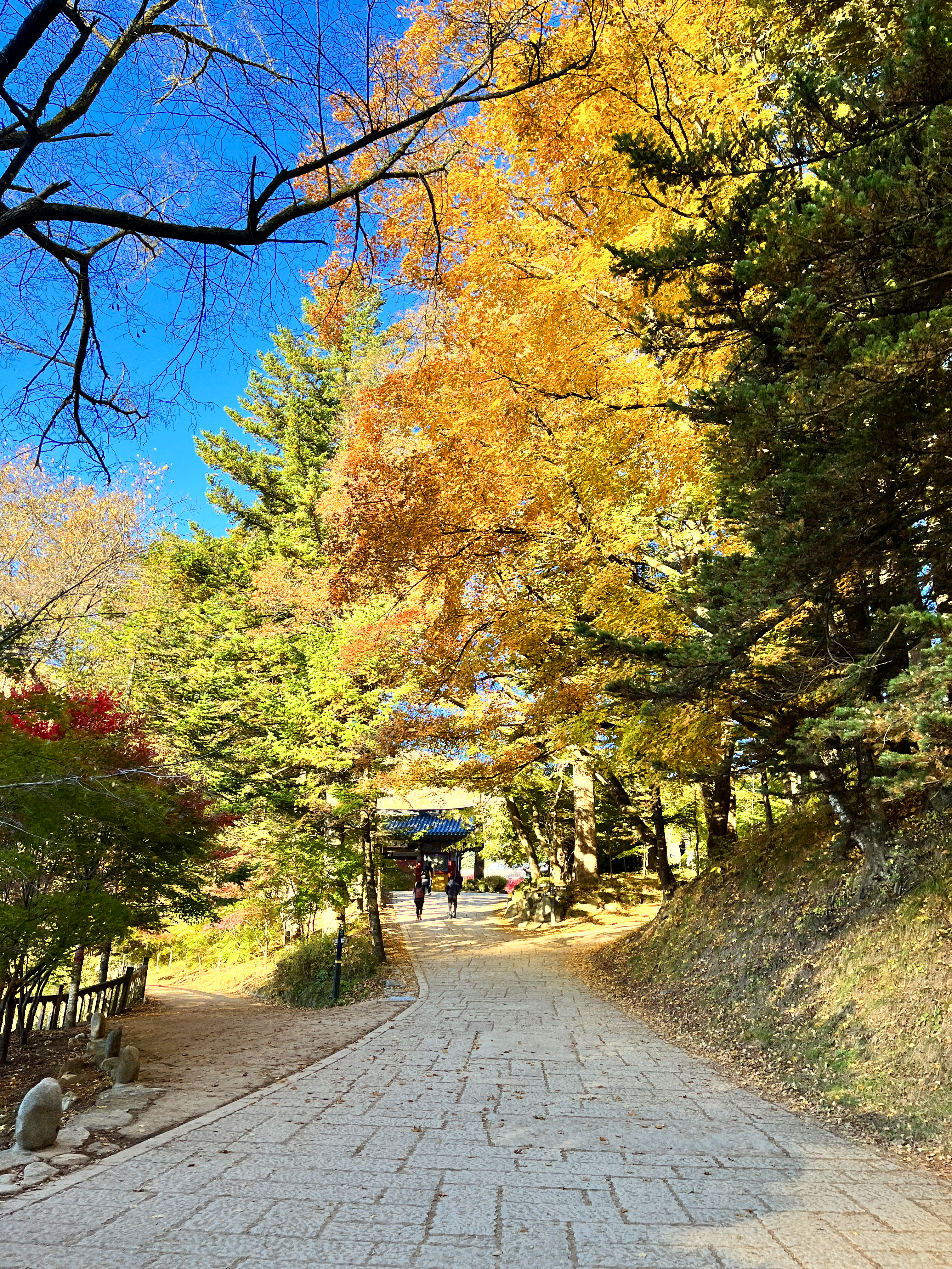 오대산 선재길