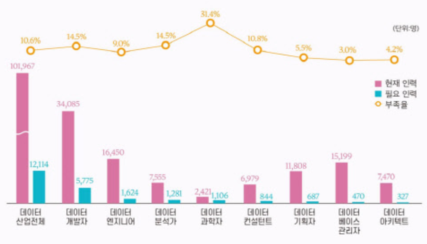 2020년 국내 데이터 직무별 인력 현황 및 수요