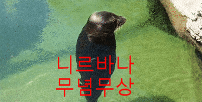  [무념무상] 니르반