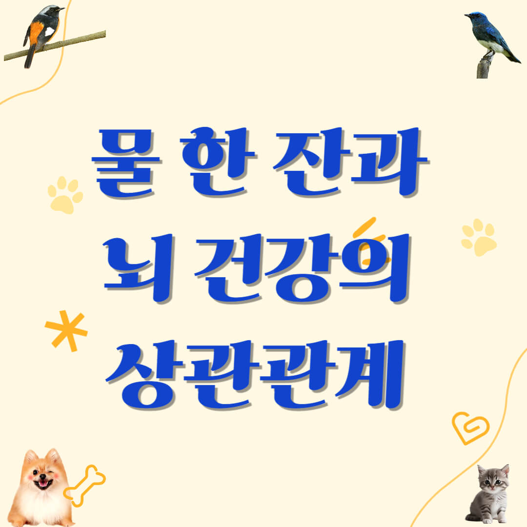 물 한 잔과 뇌 건강의 상관관계