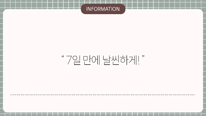 다이어트 도시락 만들기