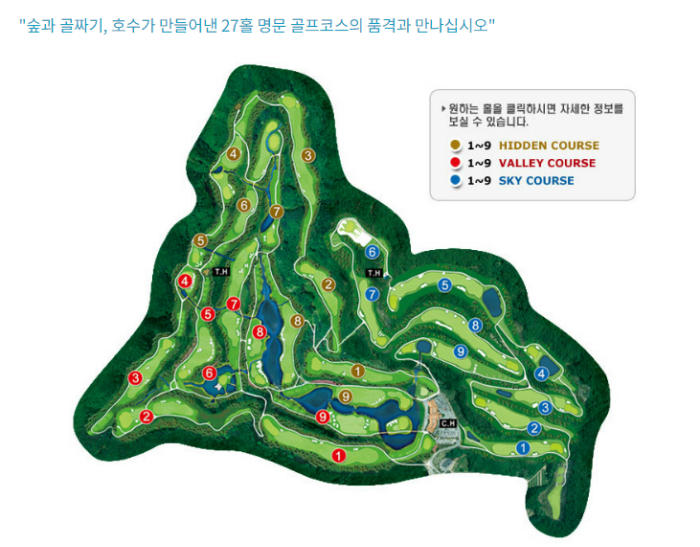 매니지먼트 히든 이미지