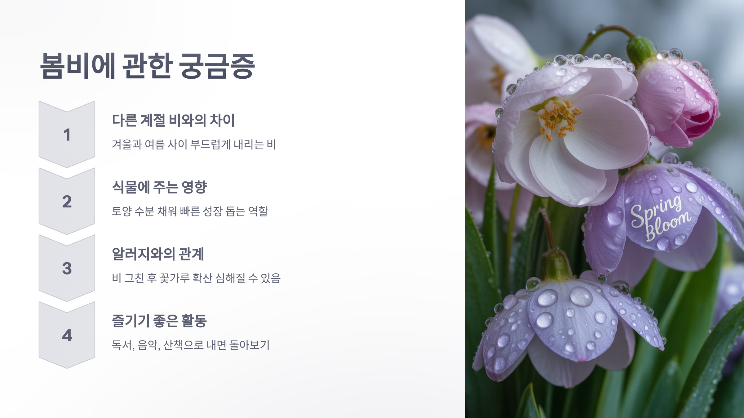 참조-봄비-6