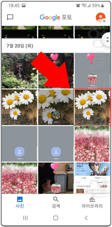 구글 포토 앱을 이용해 사진으로 꽃 이름 찾기 식물 검색하기