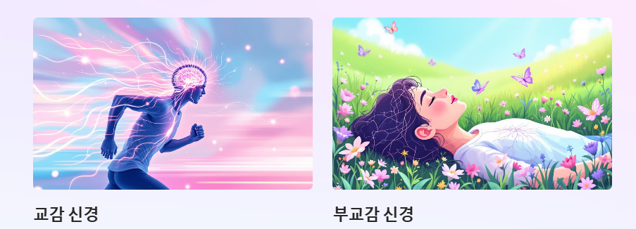 스트레스가 원인? 자율 신경 실조증 증상과 극복 방법