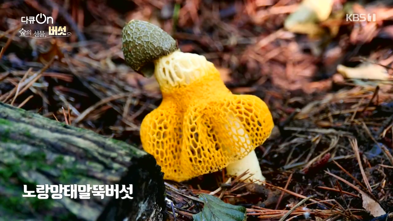 다큐 온.E227.231120p-NEXT.mp4_20231121_201831.769.jpg