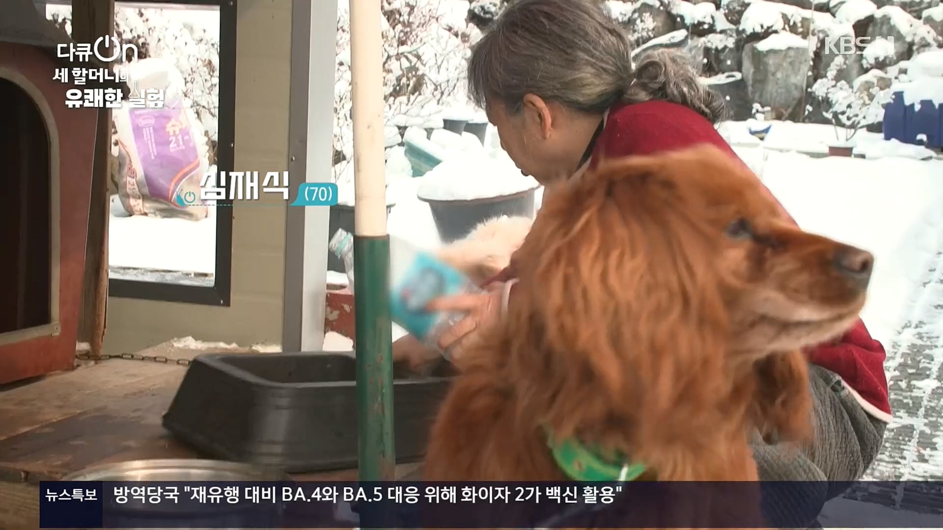 다큐 On.E166.221028p.H264-F1RST.mp4_20221031_191957.581.jpg