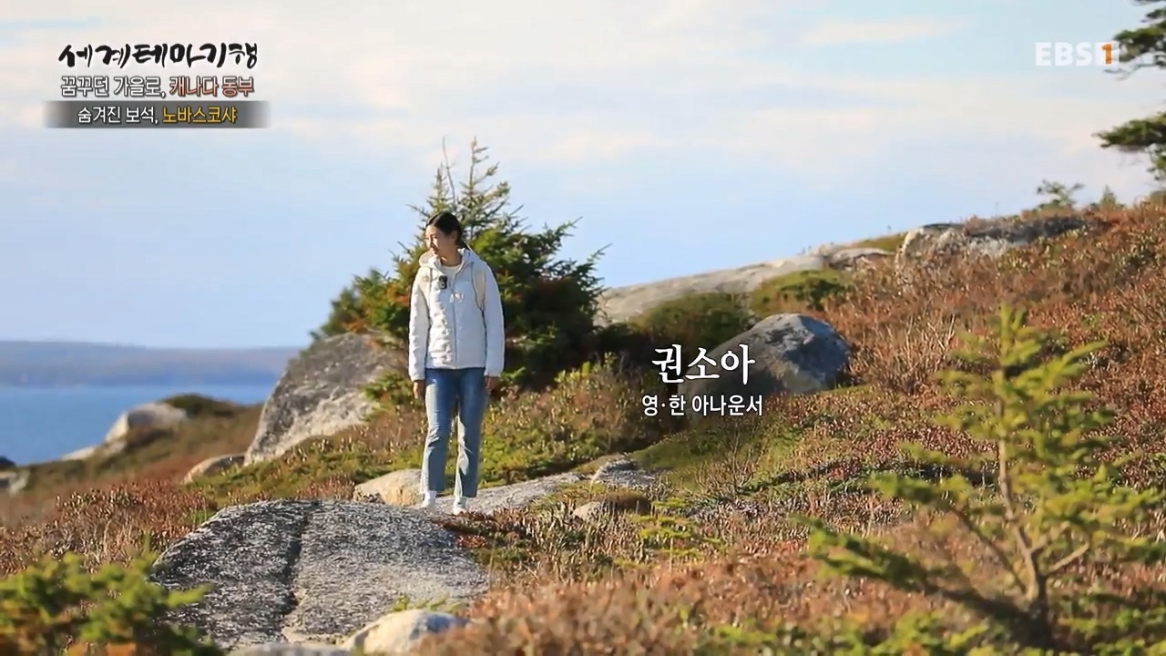 세상의모든기행꿈꾸던 가을로 캐나다 동부-우아, 가을의 맛.mp4_20231205_200822.339.jpg
