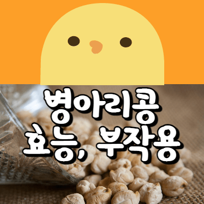  병아리콩 효능, 부작용/ 건강에 좋지만 모두에게 좋은 것은 아니다!