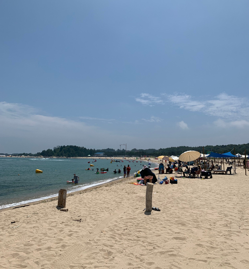 백도 해변 고성 10