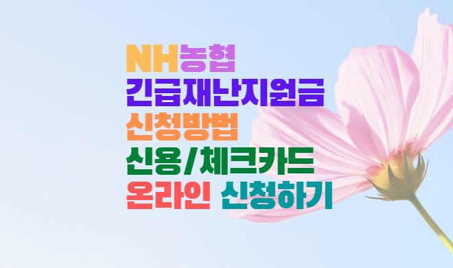  NH농협 긴급재난지원금 신청방법 신용/체크카드 온라인 신청하기