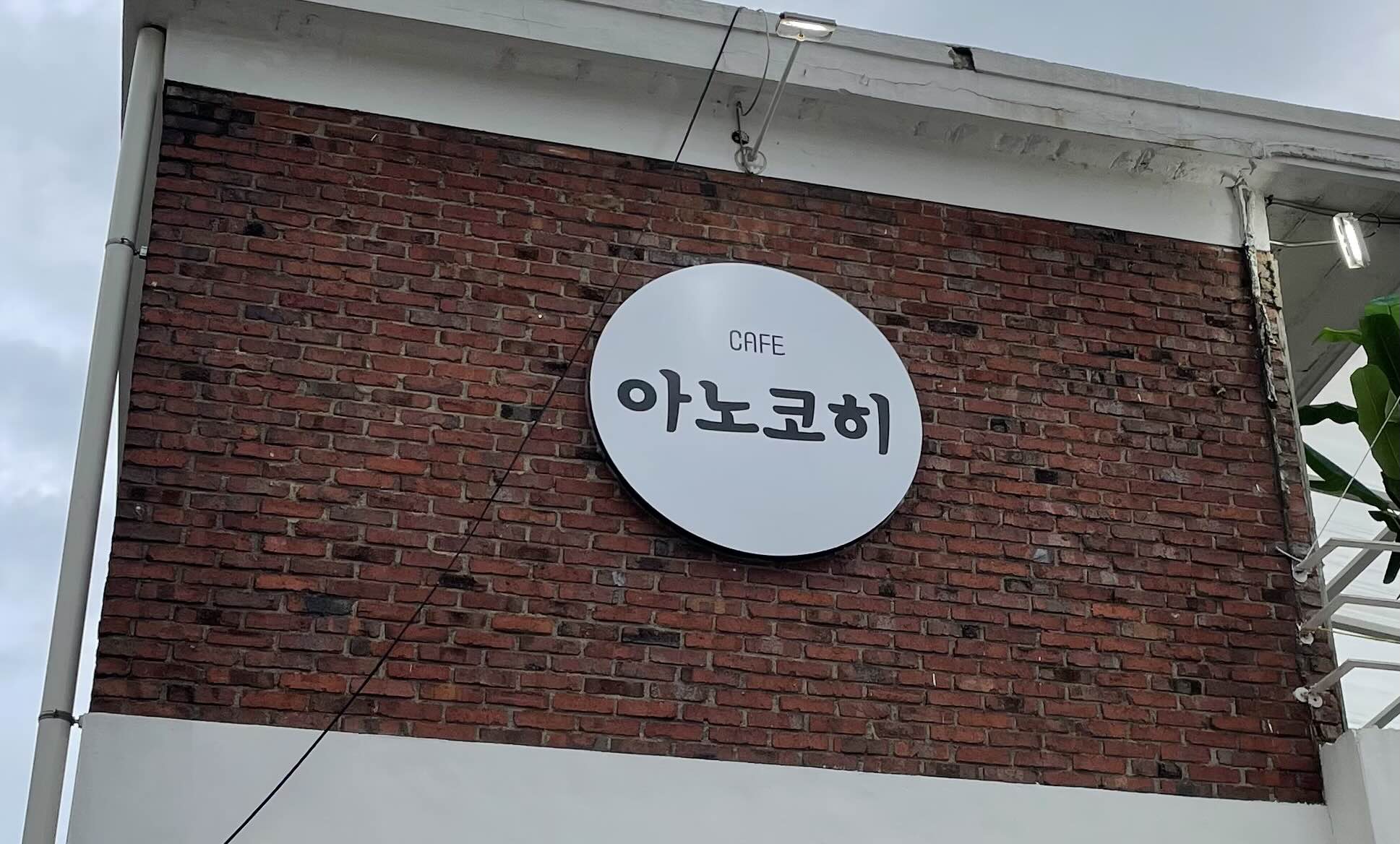 아노코히 이미지