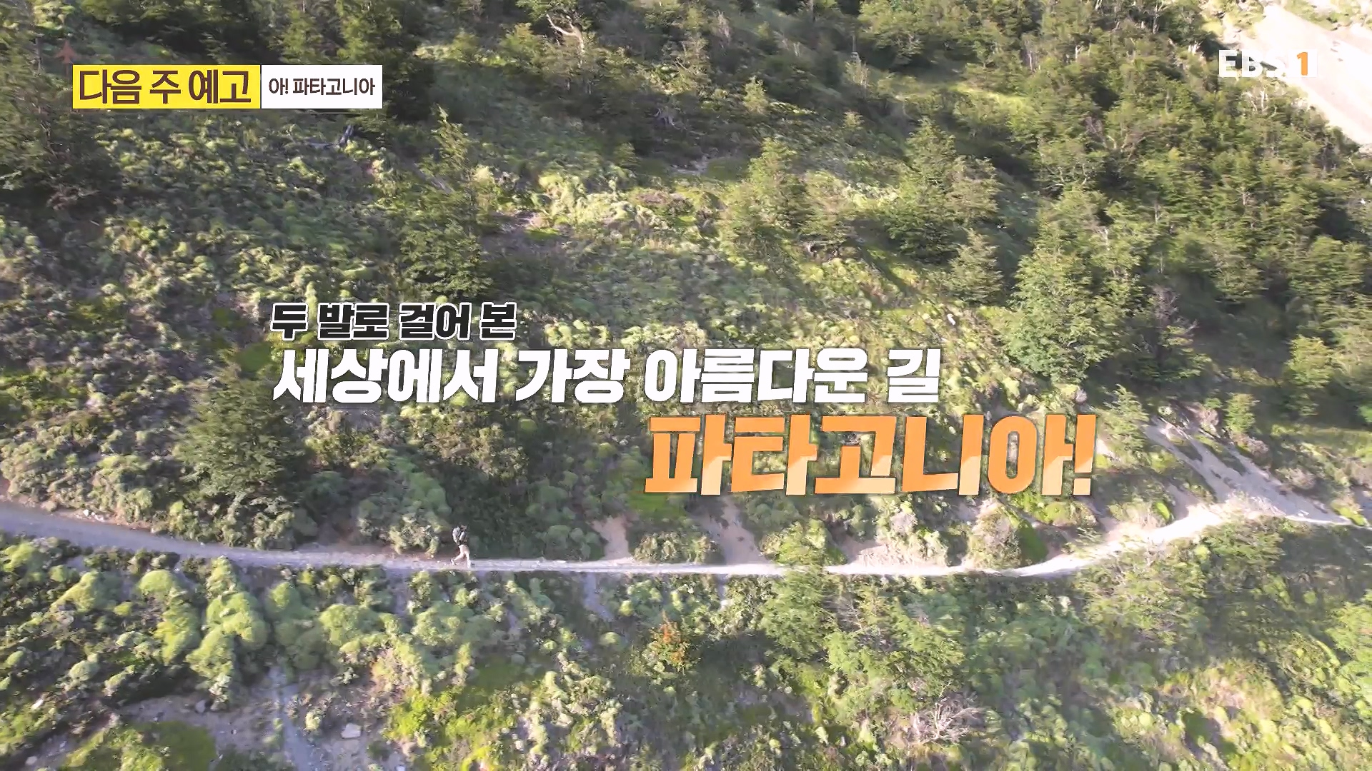 세계테마기행 240222 태국 북부 인생길 기행 -대찬 인생, 소박한 행복0p.mp4_20240807_200748.867.jpg