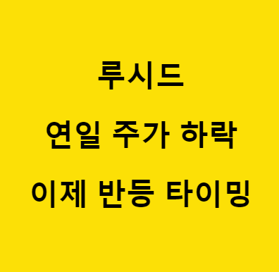 루시드 모터스 그룹 주가 하락하지만 사야되는 이유[목표주가]