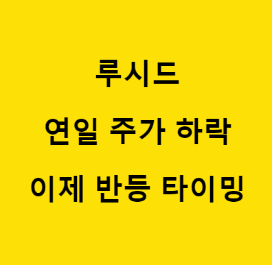 루시드 모터스 그룹 주가 하락 이유