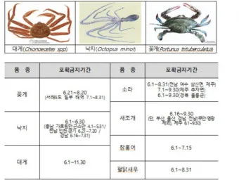 6월 꽃게 금어기 정확한 일정과 유통 제한 상세 정보 총정리_2