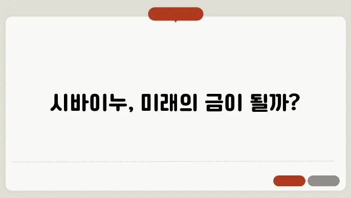 시바이누 코인 전망, 시세, 가격, 호재, 특징, 핵심 기술