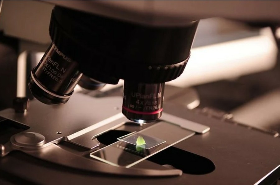 보건소, 의료기술직 공무원 취업, 임상병리사 취업 - 5