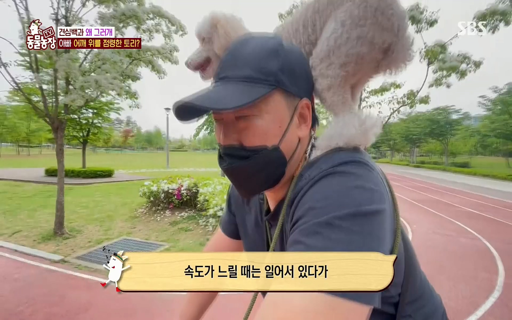 TV 동물농장.E1072.220605p.H264-F1RST.mp4_20220605_181420.761.jpg